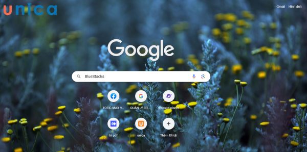 Gõ từ khóa “BlueStacks” trên thanh tìm kiếm của Google