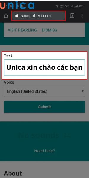 Nhập nội dung cần chuyển chuyển thành giọng chị Google