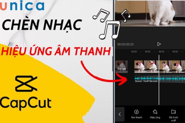 Hướng dẫn 4 Cách chèn, thêm, tải nhạc vào Capcut chi tiết