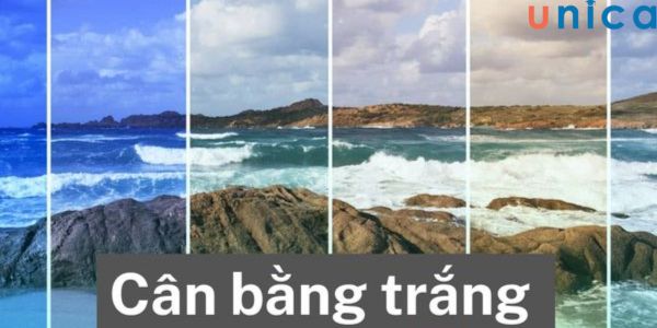 Kỹ thuật cân bằng trắng cần phải luôn được bật khi khởi tạo video mới