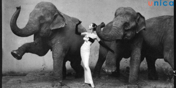 Richard Avedon