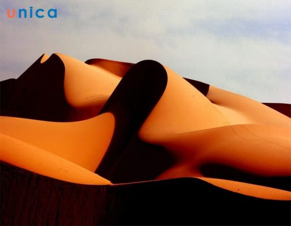 Sử dụng các đường cong