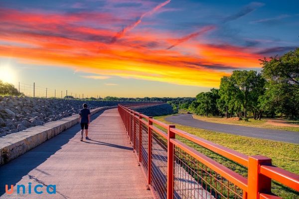 Các đường thẳng dẫn lối