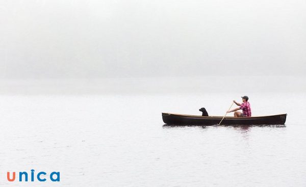 Quy tắc đơn giản và tối giản