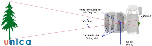 Độ crop có tác động đáng kể đến cảm giác tiêu cự của thấu kính trong bức ảnh