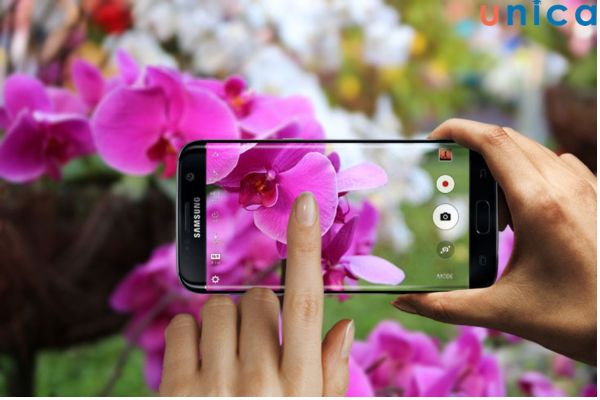 Chạm vào vật thể chính trong bức ảnh