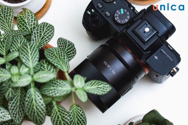 Những lợi ích mà photography mang lại