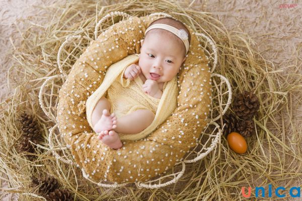 Chụp hình theo chủ đề Eggs