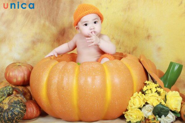 Hoàng tử bí ngô