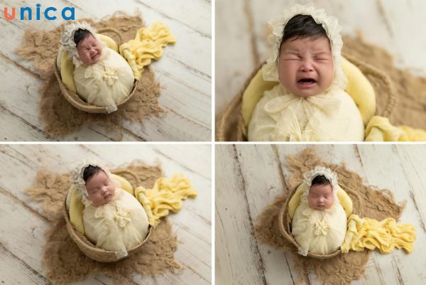 Chụp ảnh trẻ sơ sinh ý tưởng hạt mầm