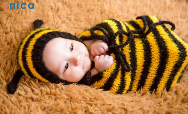 Chụp ảnh bé sơ sinh cuộn tròn như chú ong mật