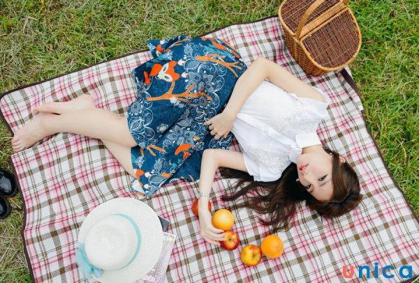 Concept chụp ảnh kiểu picnic