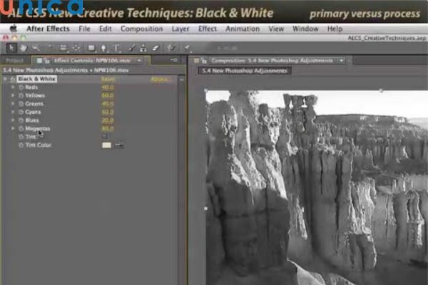 Giao diện chỉnh sửa bộ lọc Black & White đơn giản