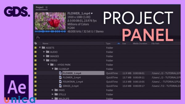 Project-panel.jpg