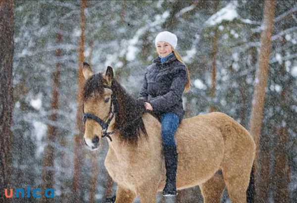 Tối ưu hóa hiệu suất và tài nguyên khi làm việc với hiệu ứng tuyết rơi