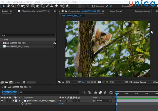 Hiệu ứng chuyển cảnh trong after effect dạng mặt nạ
