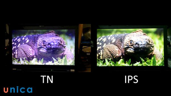 Tấm nền IPS sẽ cho màu sắc sống động, chân thực, sắc nét