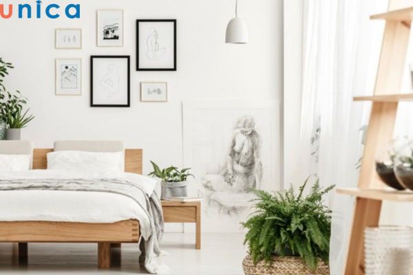 Tạo không gian xanh cho phòng ngủ để ngăn chặn con giáp thứ 13