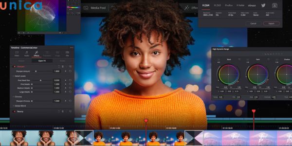 Phiên bản miễn phí bị giới hạn độ phân giải