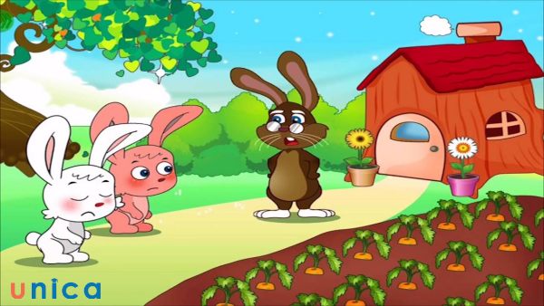 Motion Graphics là một công cụ mạnh mẽ để kể chuyện và tạo hoạt hình