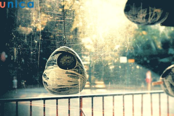 Ảnh Cinemagraphs thu hút sự chú ý lớn từ người xem