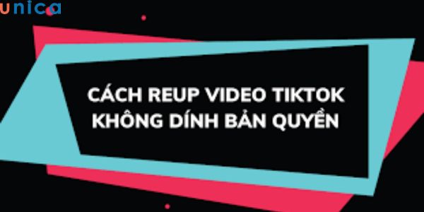 Reup Bỏ túi cách reup TikTok nghìn follow không dính bản quyền