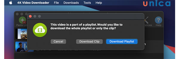 Chọn Download Playlist hoặc Download Clip