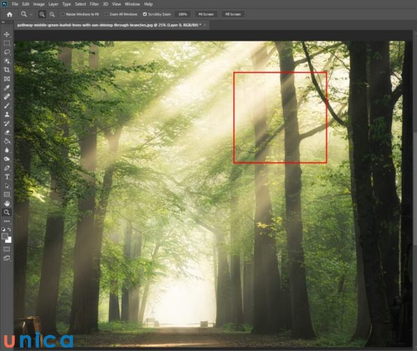 Sử dụng công cụ Zoom tool để phóng to thu nhỏ trong Photoshop