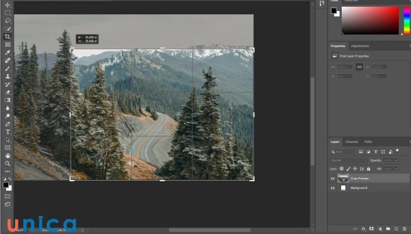 Phóng to, thu nhỏ ảnh trong PTS bằng phím tắt