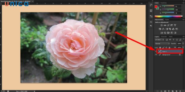 Nguyên lý đổi màu trong Photoshop là xác định được đối tượng hoặc khu vực cần đổi màu