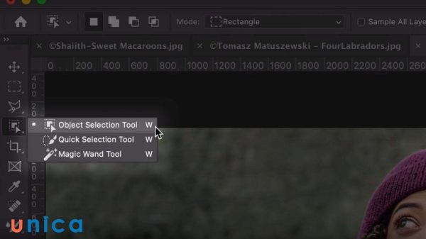 Sử dụng công cụ Selection để chọn con dấu trên hình ảnh