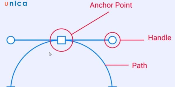 Trong quá trình sử dụng Pen Tool thường gặp lỗi không thể tạo điểm neo