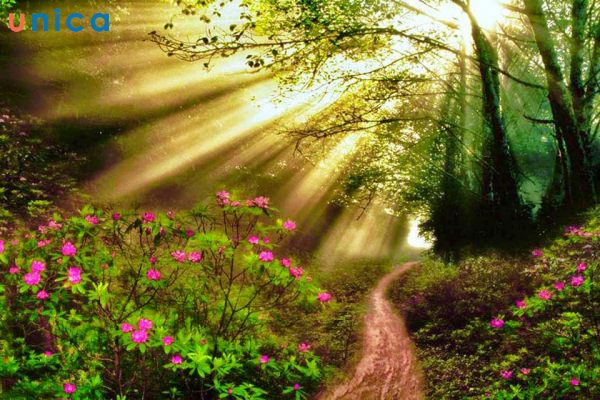 Tạo hiệu ứng vệt nắng