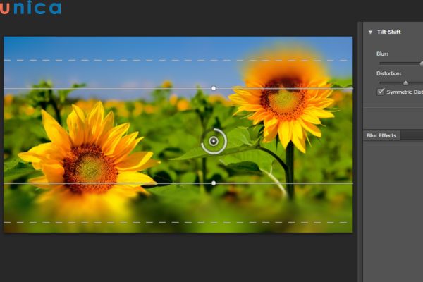 Làm mờ ảnh giúp che đi những chi tiết không mong muốn