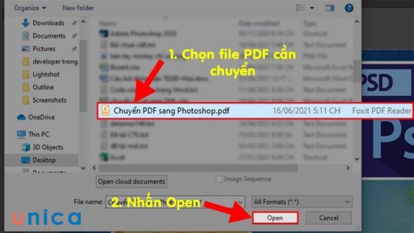 Mở file PDF trong PTS