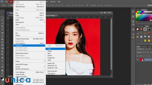 Chọn mức Scale phù hợp với kích thước của hình