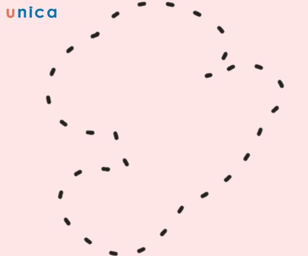 Tạo hiệu ứng chuyển động với nét đứt