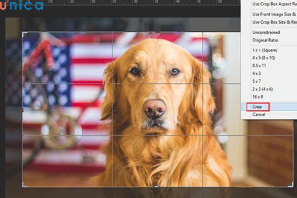 Resize ảnh với kích thước phù hợp, không resize quá nhỏ/lớn