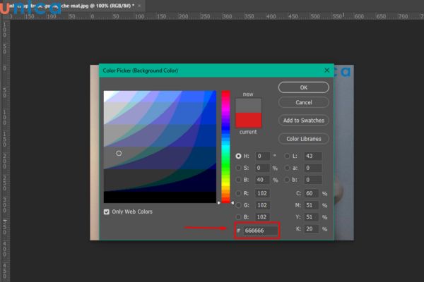 Hiển thị thông tin mã màu