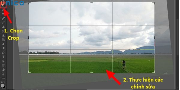 Chọn Crop và thực hiện các chỉnh sửa