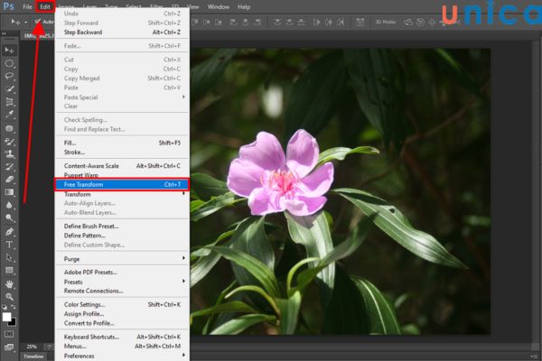 Thay đổi kích thước Layer bằng công cụ Transform