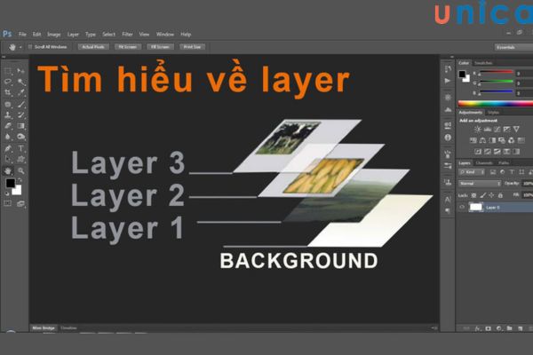 Phím tắt di chuyển layer trong Photoshop