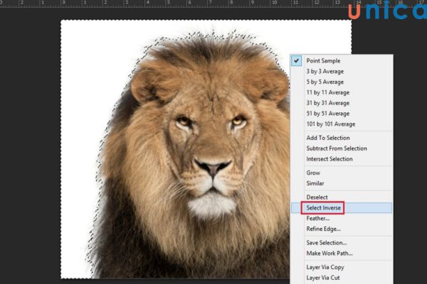 Tiến hành đảo ngược vùng chọn