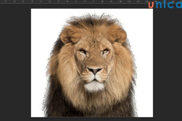 Kết quả đảo ngược vùng chọn