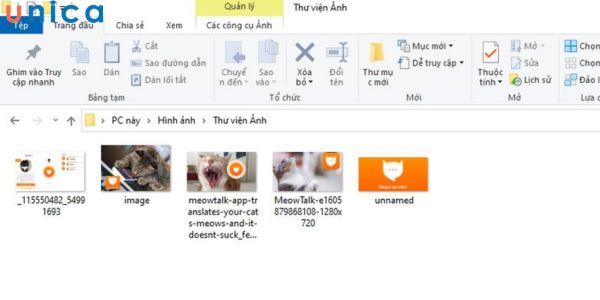 Nhóm tất cả ảnh vào một thư mục