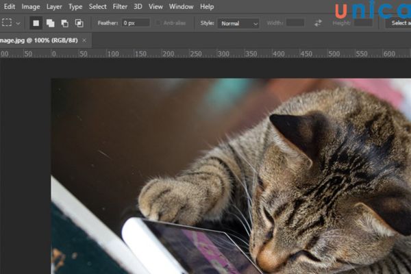 Mở một ảnh bất kỳ