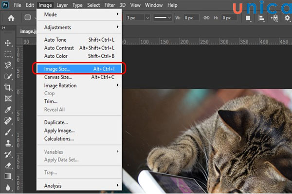 Chọn Image => Image Size