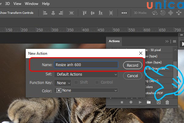 Tạo đường dẫn Action