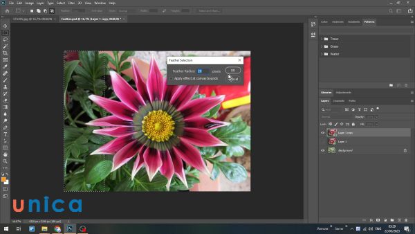 Sao lưu bản gốc