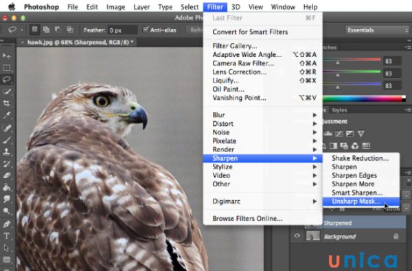 Unsharp Mask là một cách chỉnh sửa anh trong photoshop rất hiệu quả, cho phép bạn làm nét bức ảnh một cách chi tiết và tự nhiên